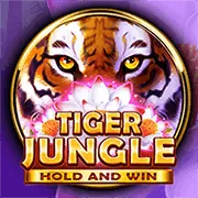 Nền tảng as9 game an toàn và uy tín